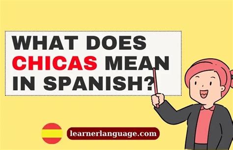 chica meaning in spanish slang|chica google translate.